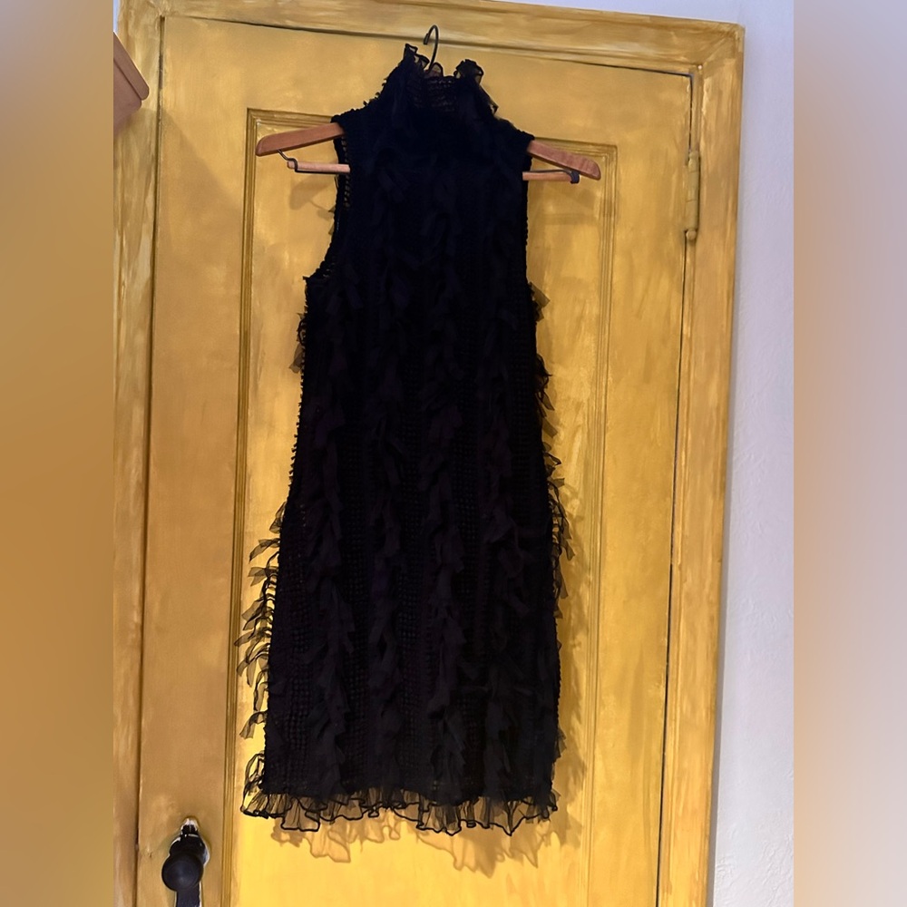 Mesh Black Sleeveless Dress